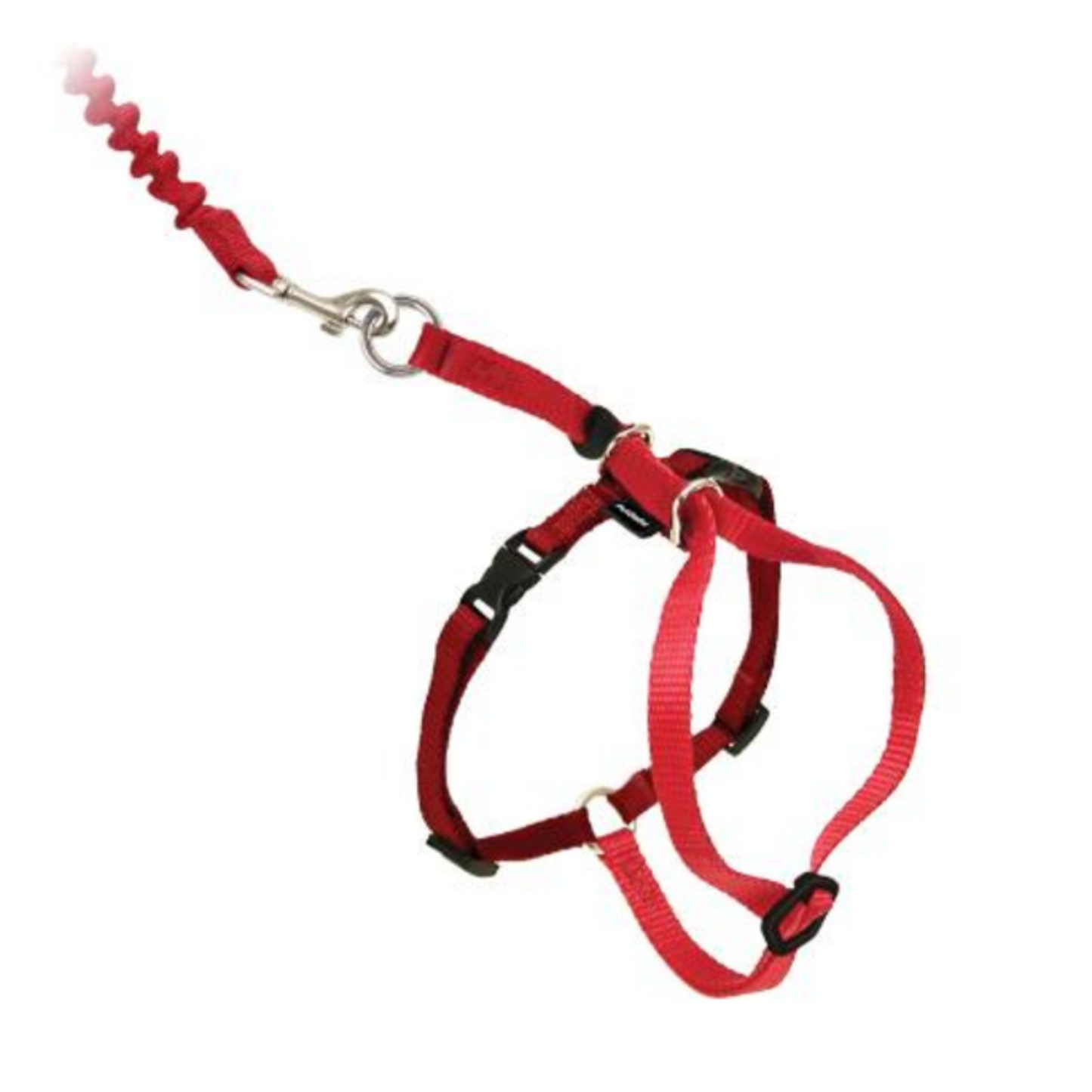 PetSafe Come - With Me Kitty Adjustable Nylon Cat Harness and Bungee Leash