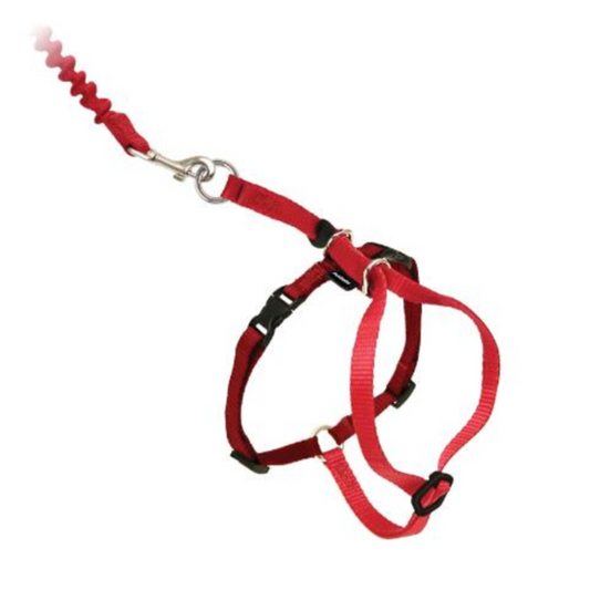 PetSafe Come - With Me Kitty Adjustable Nylon Cat Harness and Bungee Leash - M