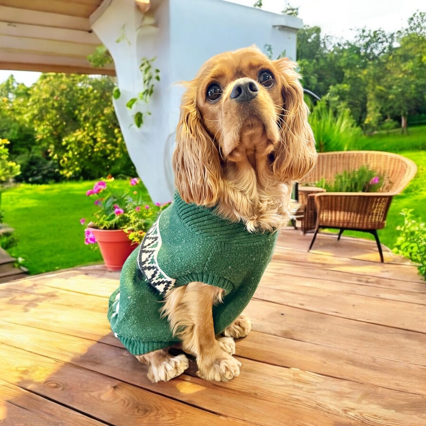 Beaver Canoe Winter Dog Sweater