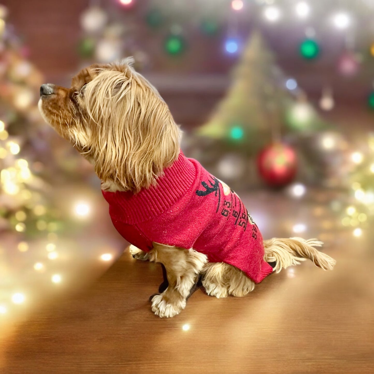 Holiday Dog Sweater