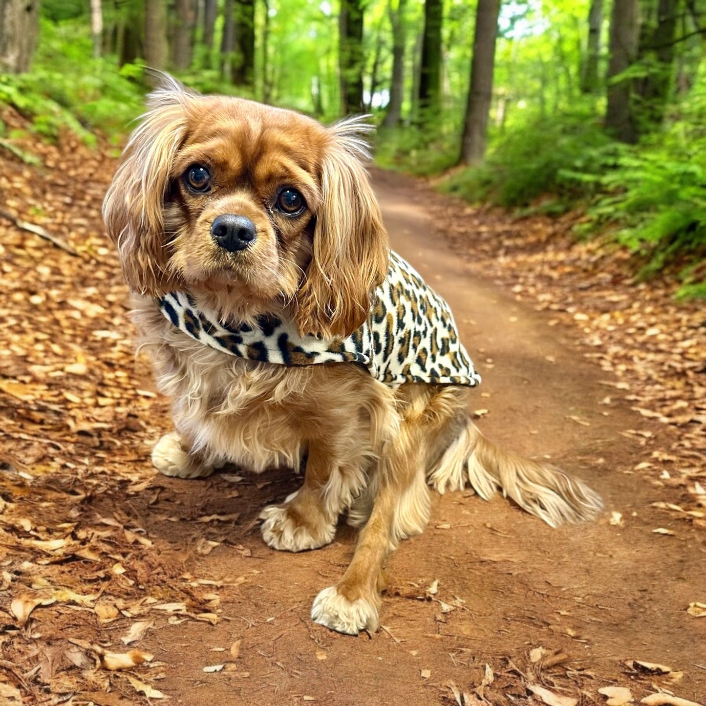 Reversible Fleece Dog  Coat