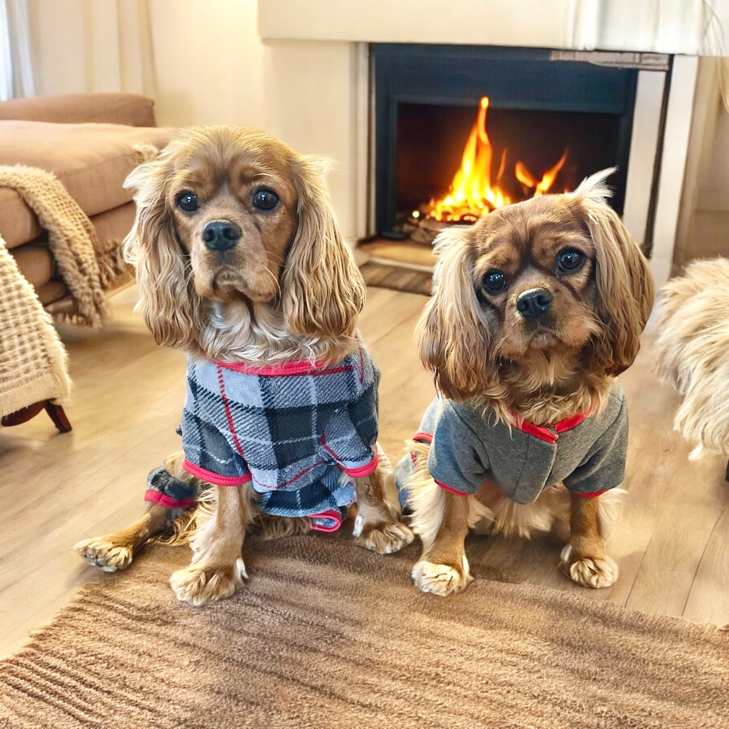 Holiday Time Fleece Pet PJs