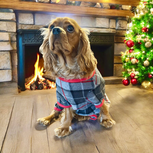 Holiday Time Fleece Pet PJs