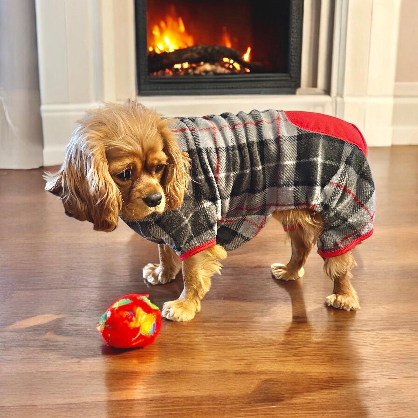 Holiday Time Fleece Pet PJs