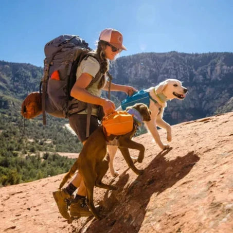 Ruffwear Approach Dog Pack